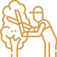 Arborist and Tree Services