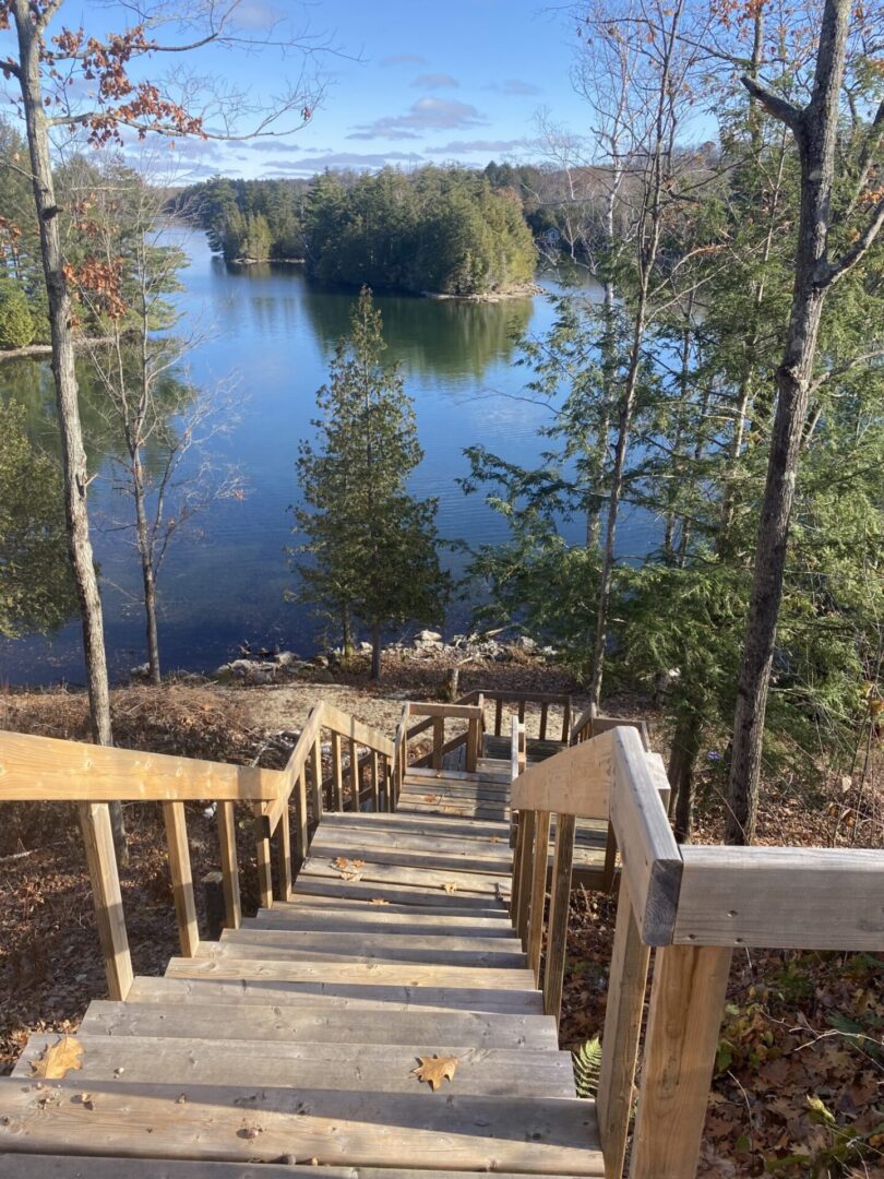 Wooden stairs descend toward a peaceful lake surrounded by trees.